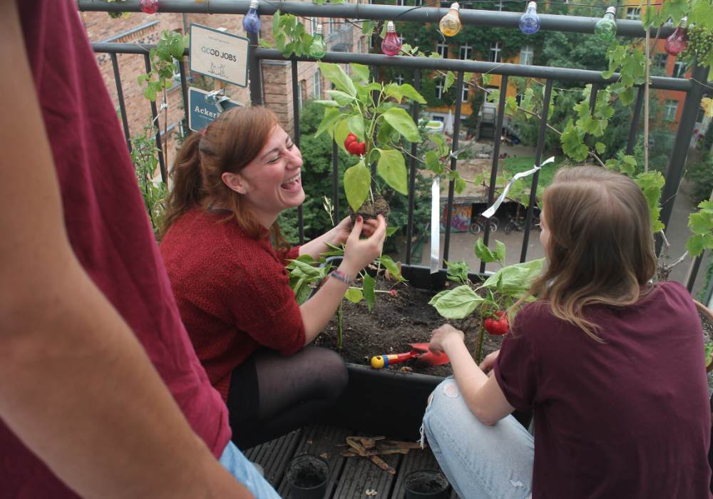 Ackerküche Office Gardening Teambuilding Event