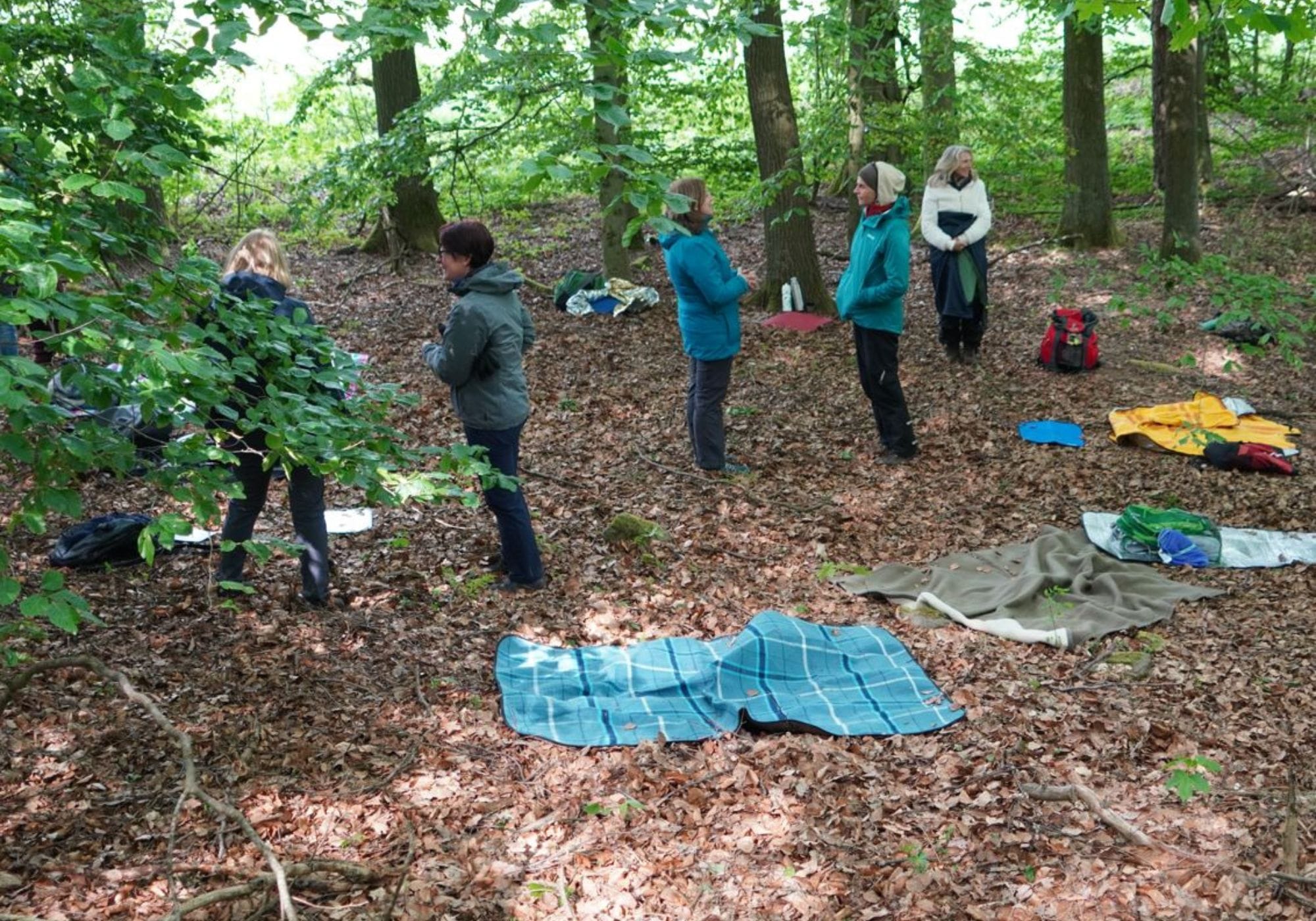 Waldbaden Teambuilding